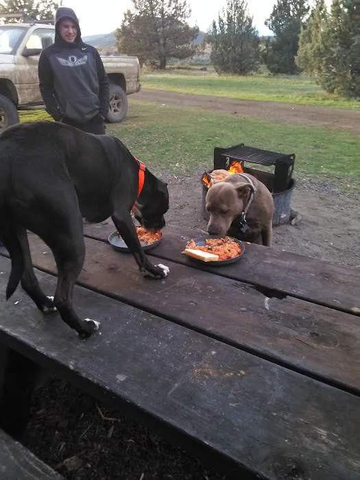 Cyrus Horse Campground 5