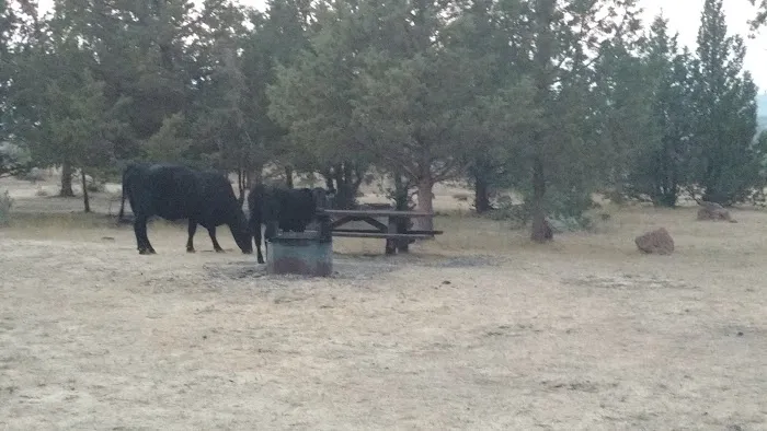 Cyrus Horse Campground 2