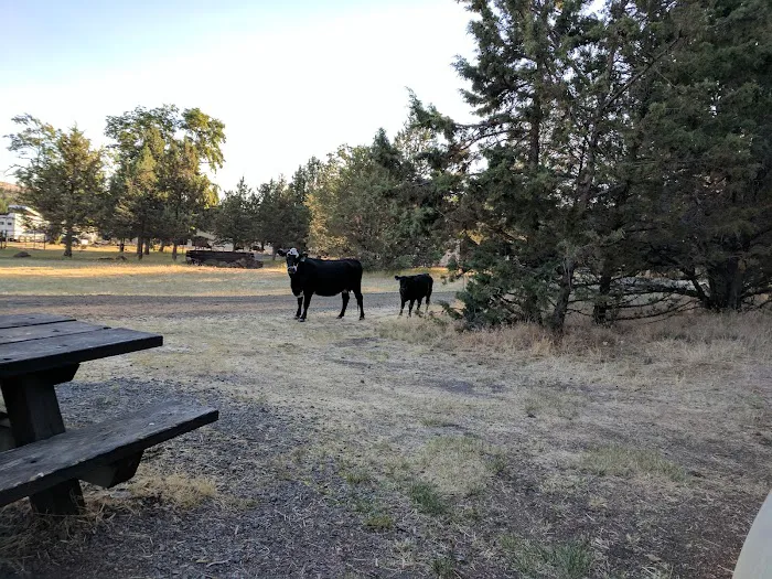Cyrus Horse Campground 4