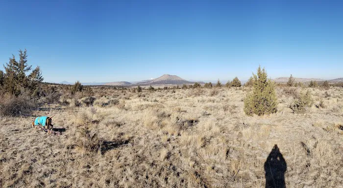 Cyrus Horse Campground 1