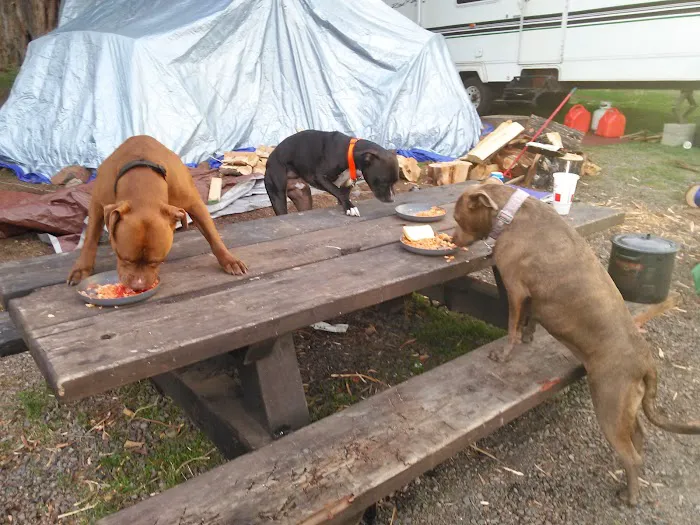 Cyrus Horse Campground 7