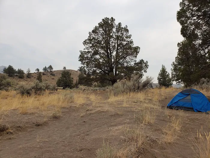 Davidson Flats Campground - leased to OPRD 8