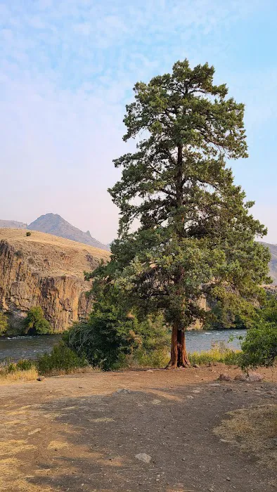 Davidson Flats Campground - leased to OPRD 9