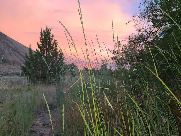 Davidson Flats Campground - leased to OPRD 4