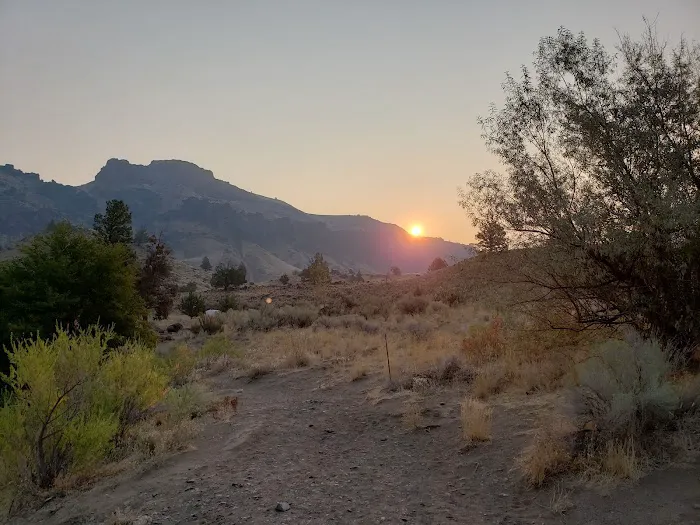 Buckskin Mary Campsite 4