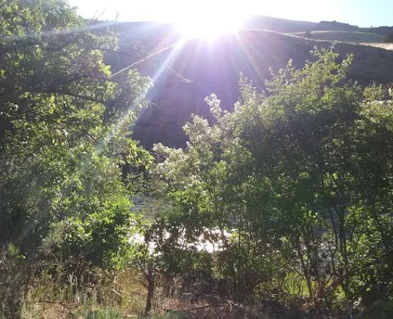 Four Chutes Campsite