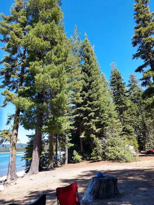 Camp Makualla, B.S.A. 7