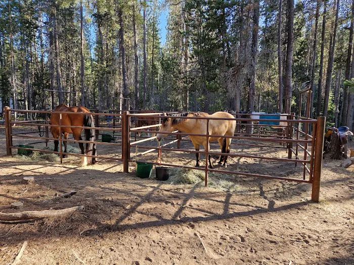Whitefish Horse Camp 2