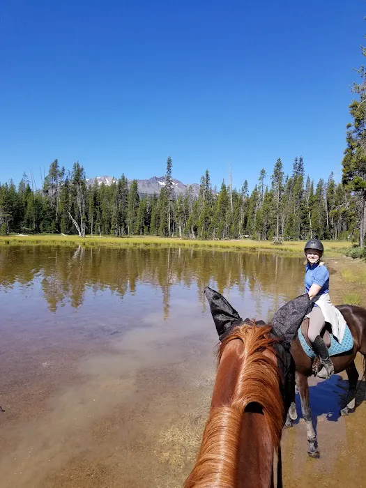 Whitefish Horse Camp 0