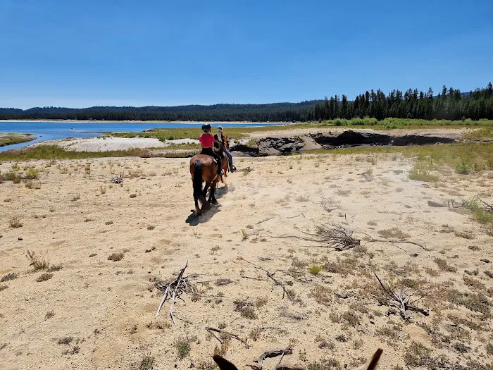 Whitefish Horse Camp 4