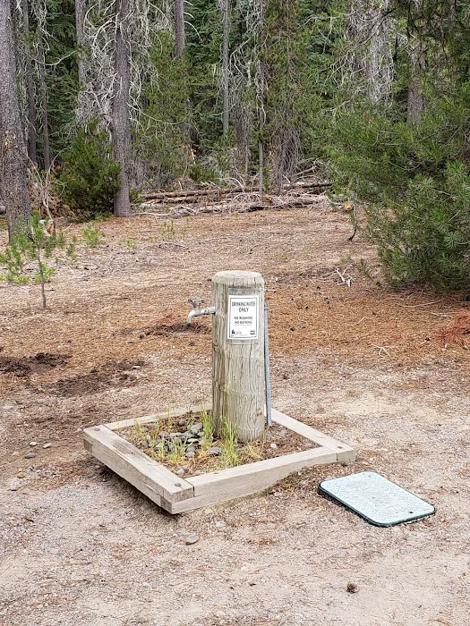 Whitefish Horse Camp 8