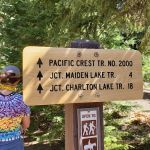 Pacific Crest Trailhead - Willamette Pass
