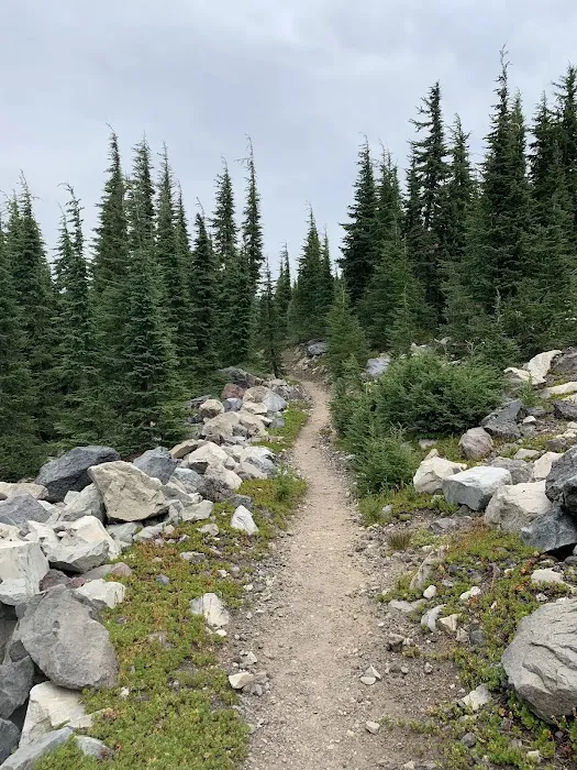 Pacific Crest Trailhead - Willamette Pass 4