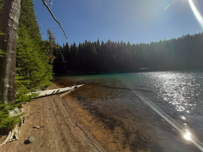 Pacific Crest Trailhead - Willamette Pass 8