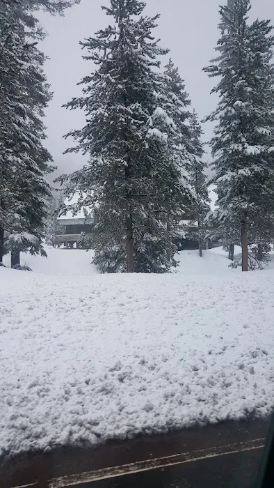 Pacific Crest Trailhead - Willamette Pass 3