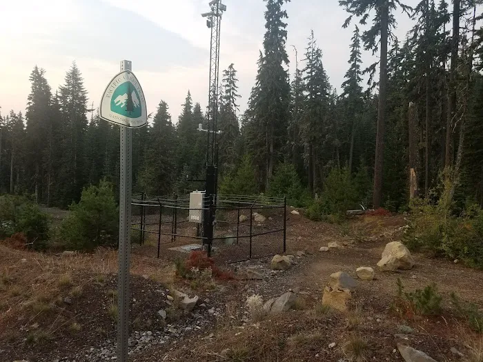 Pacific Crest Trailhead - Willamette Pass 6