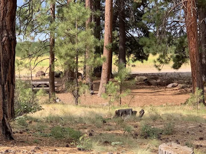 Lava Flow Campground 2