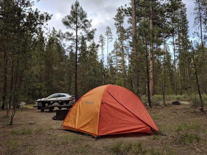 Pringle Falls Campground 4