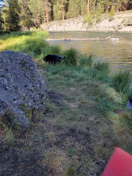 Pringle Falls Campground 5