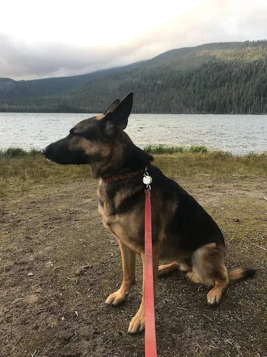 Digit Point Campground 7