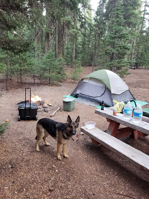 Digit Point Campground 3