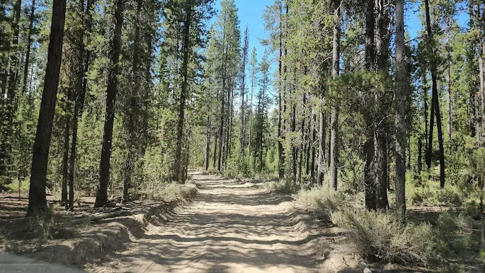 Digit Point Campground 8
