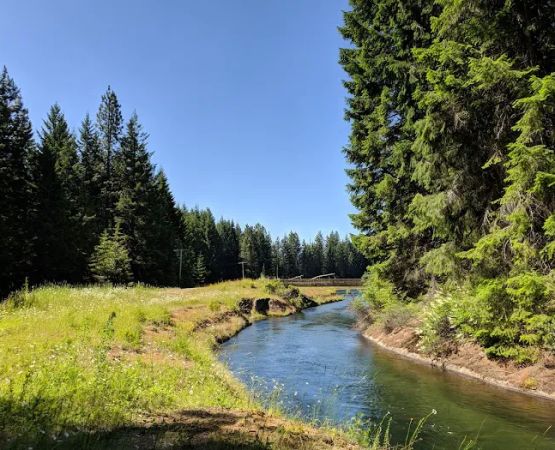 Lemolo Forebay 2
