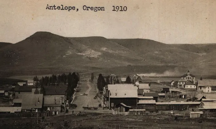 Antelope Market 8