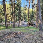 Ochoco Forest Camp Group Pavilion