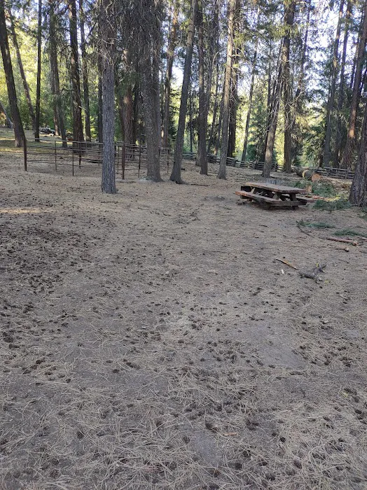 Dry Creek Horse Camp 2
