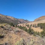 Ochoco Forest Camp and Pavilion