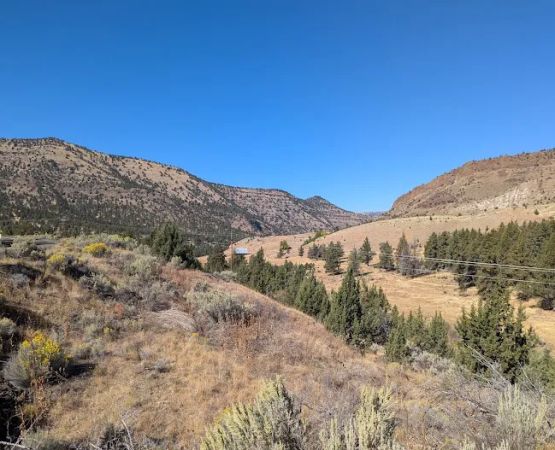 Ochoco Forest Camp and Pavilion
