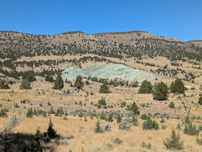 Ochoco Forest Camp and Pavilion 6