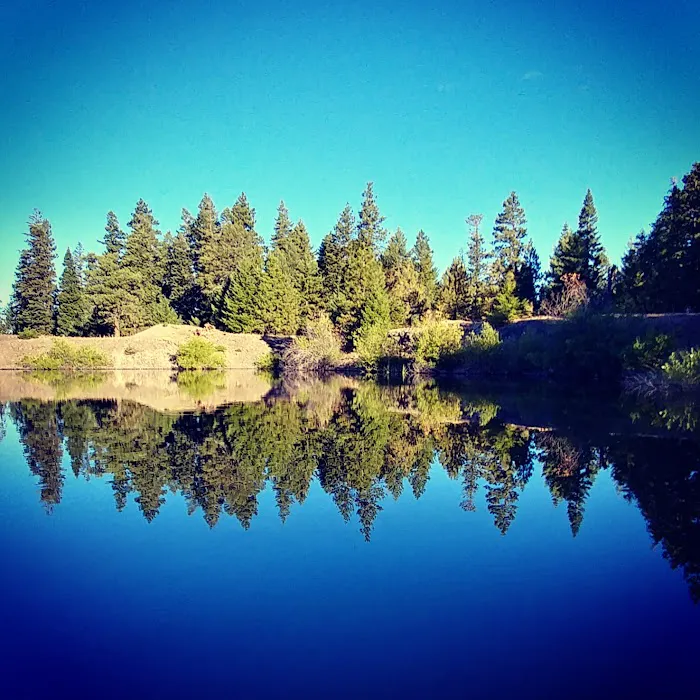 Whiskey Springs 3