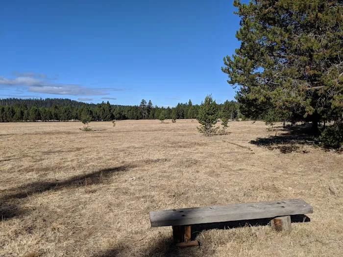 Bingham Prairie Campground 2