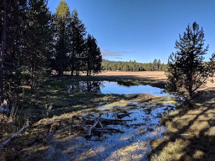 Bingham Prairie Campground 0