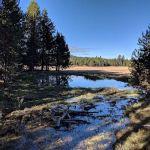 Bingham Prairie Campground