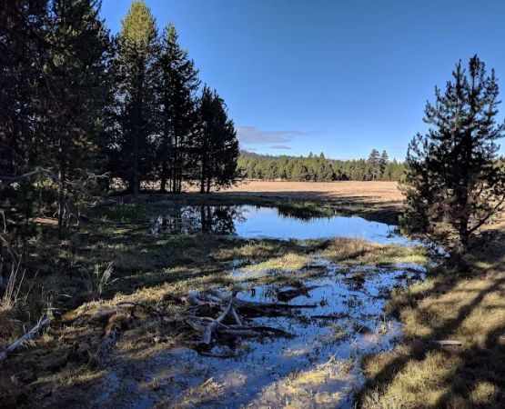 Bingham Prairie Campground