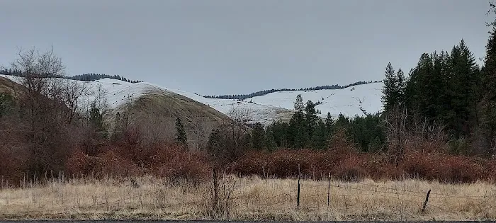 Bingham Springs Campground 3