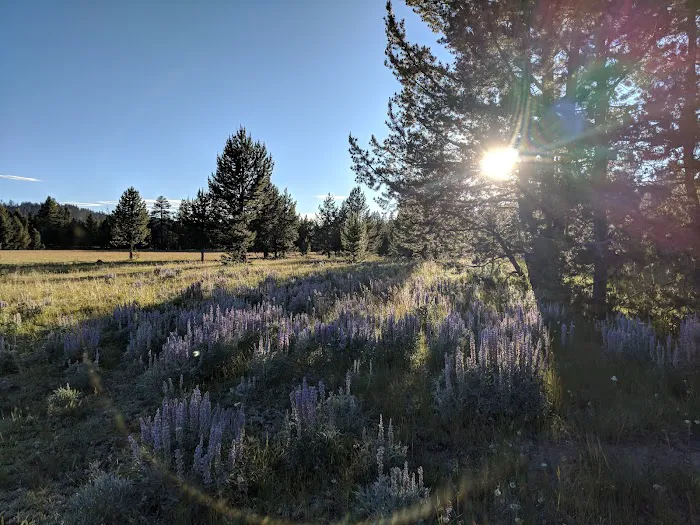 Bingham Springs Campground 8
