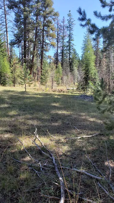 Whistler Campground 0