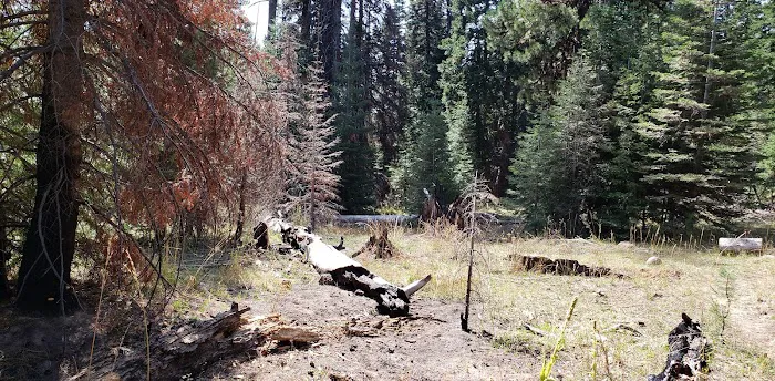 Whistler Campground 1