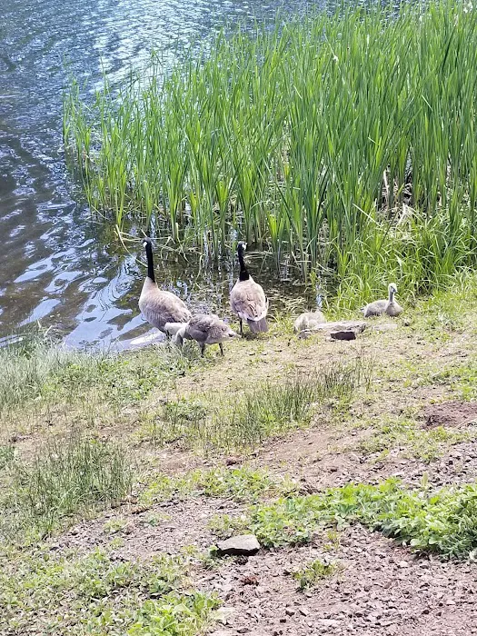 Walton Lake 2