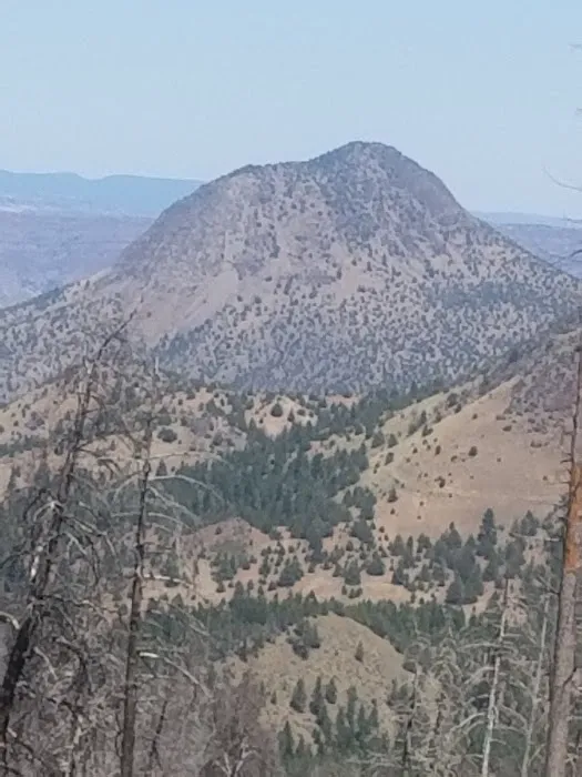 Wildwood Campground 8
