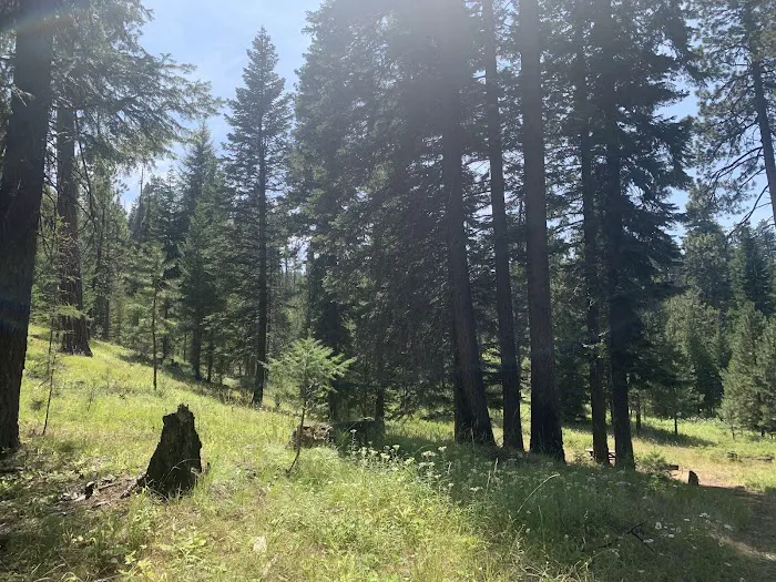 Wildwood Campground 2