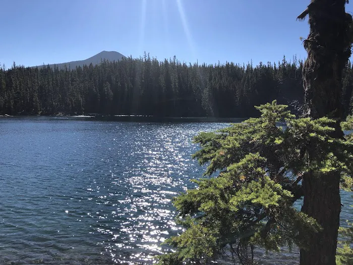 Lower Lake Campground 4