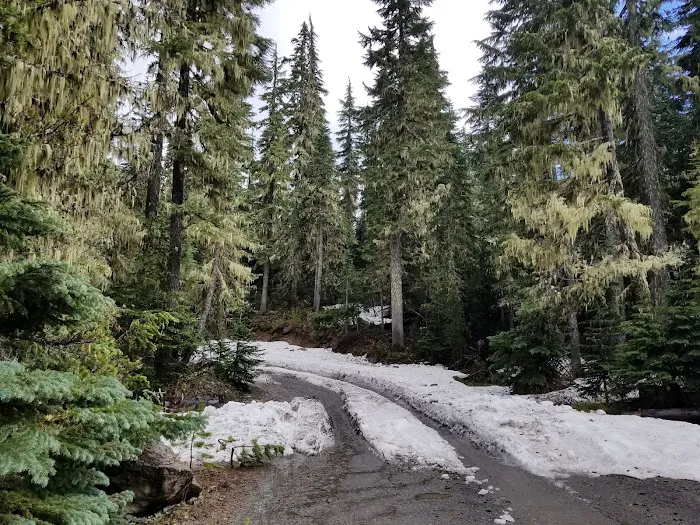 Lower Lake Campground 1