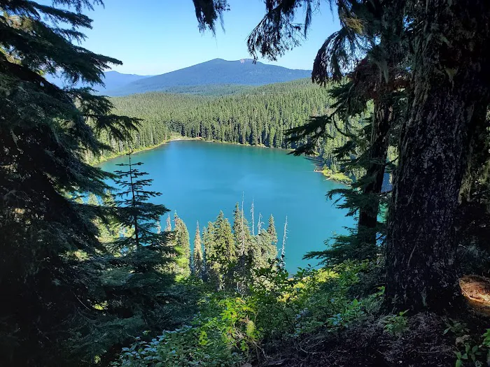 Lower Lake Campground 2
