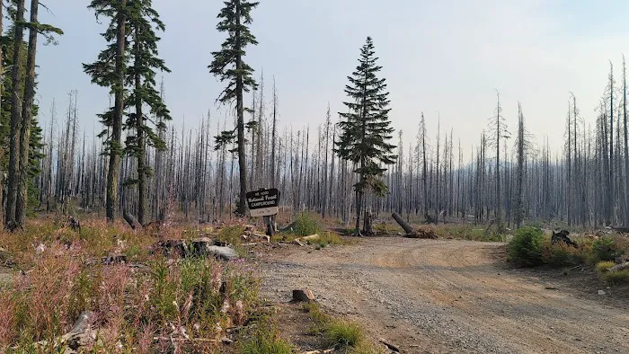 Camp Ten (Olallie Lake) Campground 1