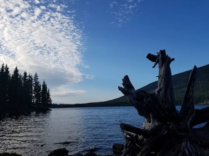 Camp Ten (Olallie Lake) Campground 3